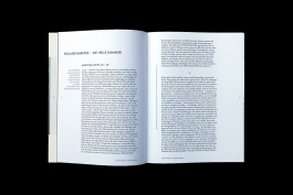 Luise Ivandić — Communication Design