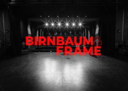 Luise Ivandić — Communication Design