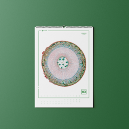 Luise Ivandić — Communication Design