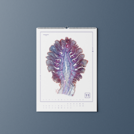 Luise Ivandić — Communication Design