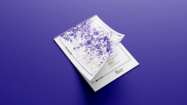 Luise Ivandić — Communication Design